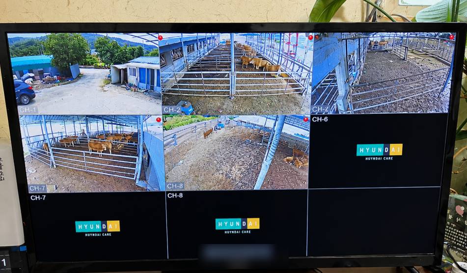 축사 CCTV 설치 모습